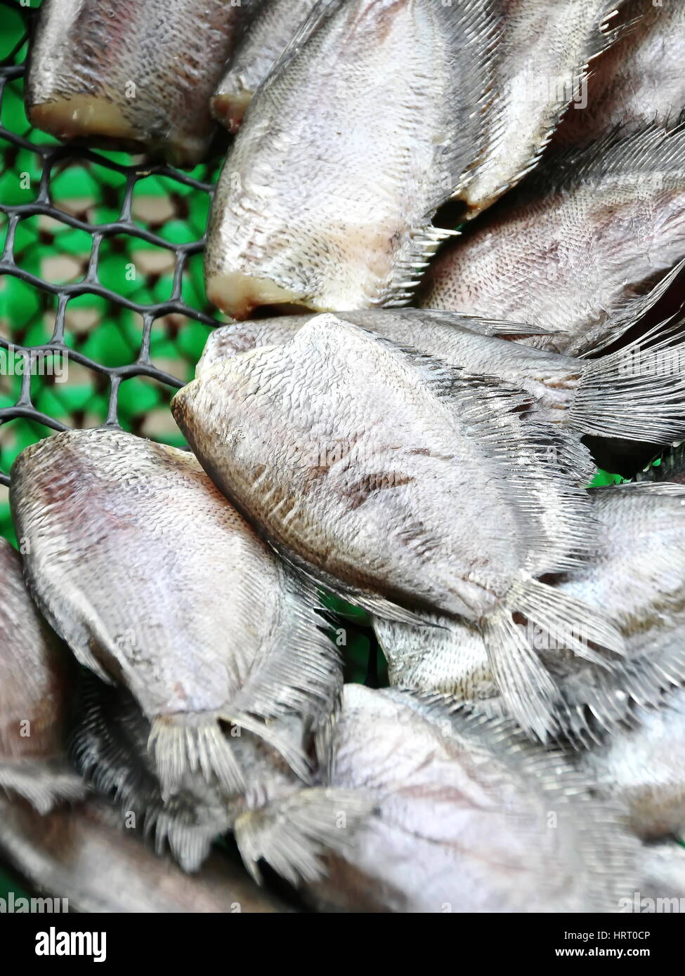Dried Salted Fish - Snakeskin gourami in the Food Market in Thailand Stock Photo