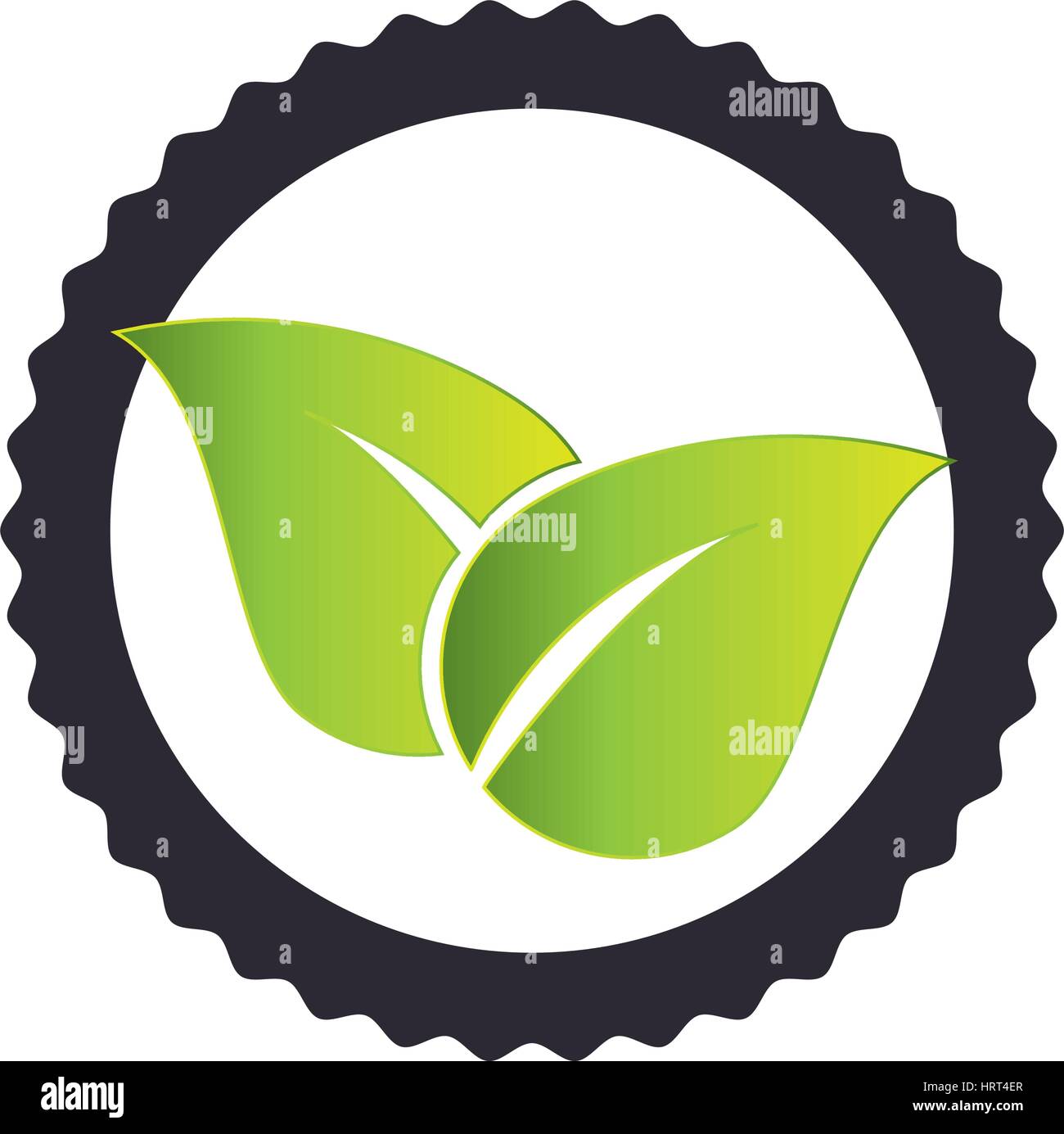 leafs plant ecology symbol Stock Vector Image & Art - Alamy