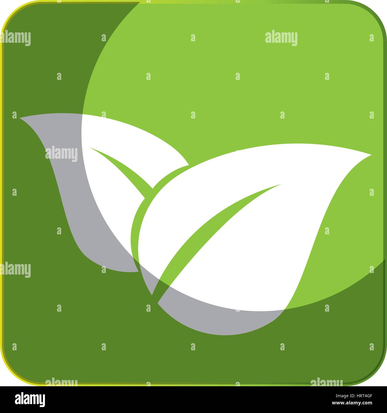 leafs plant ecology symbol Stock Vector Image & Art - Alamy
