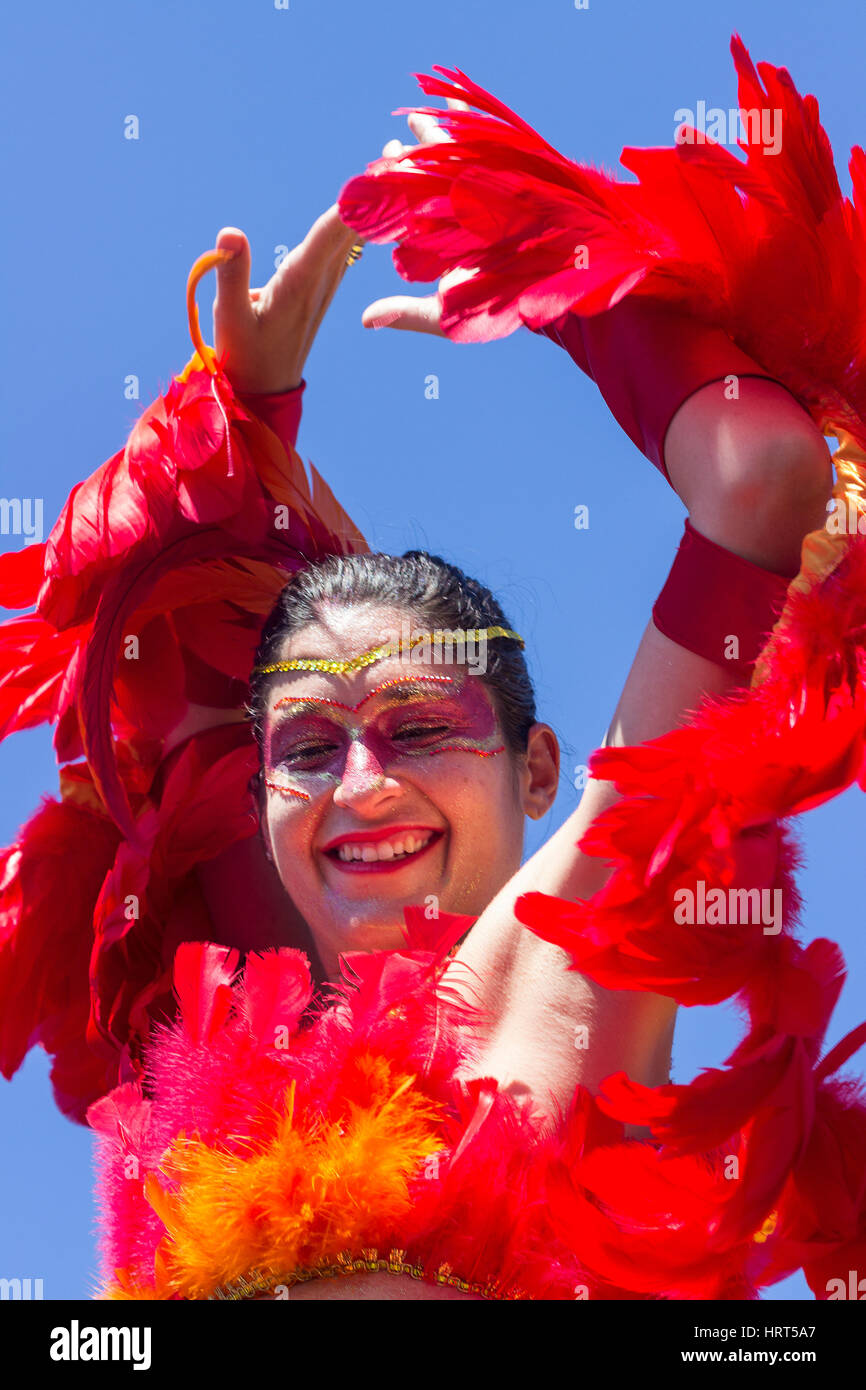 FEBRUARY 9, 2016 - Rio de Janeiro, Brazil - Caucasian woman in colourful bird costume smiling during Carnaval 2016 street parade Stock Photo