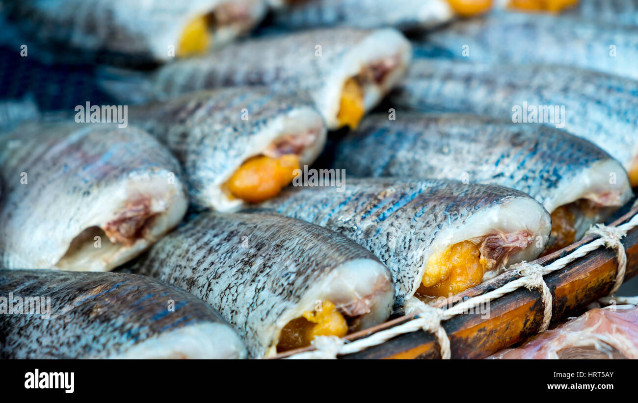 Trichogaster pectoralis, Salted fish place on the basket, food preservation with salt Stock Photo