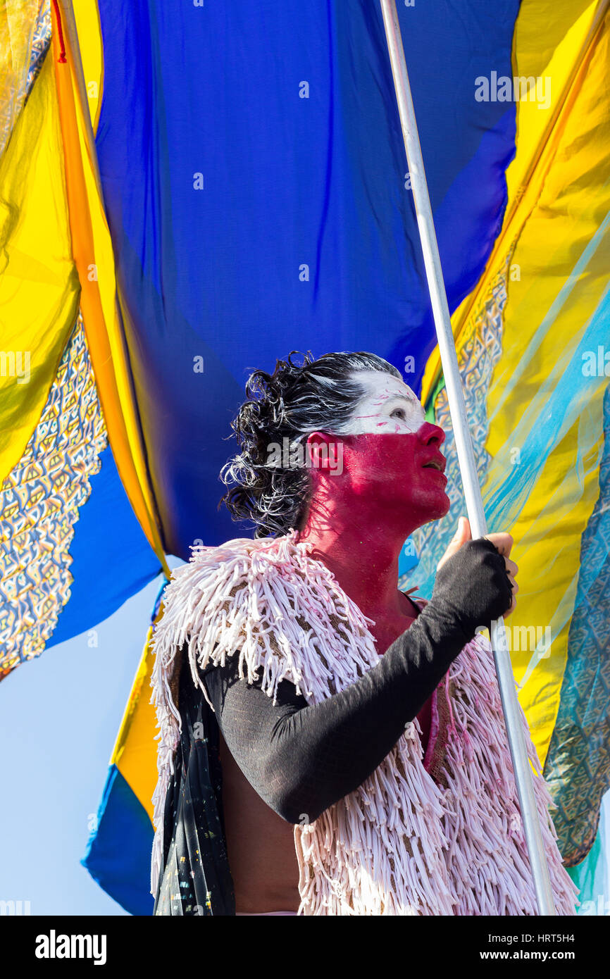 Man rio carnival samba parade hi-res stock photography and images - Alamy
