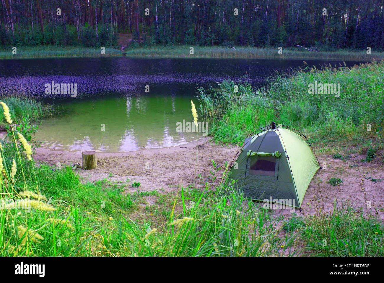 Tents in the forest in front of mountain lake Stock Photo - Alamy