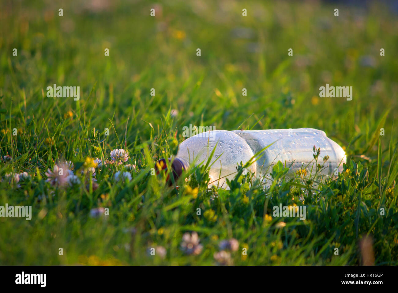 empty plastic bottle on a background of green grass Stock Photo - Alamy