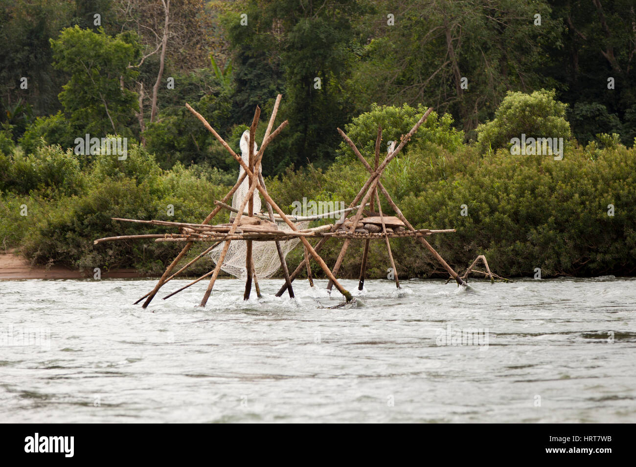 A branch structure with net for a fish trap on the Ou river, a tributary of the Mekong. Structure faite de branches et filet pour un piège à poissons. Stock Photo