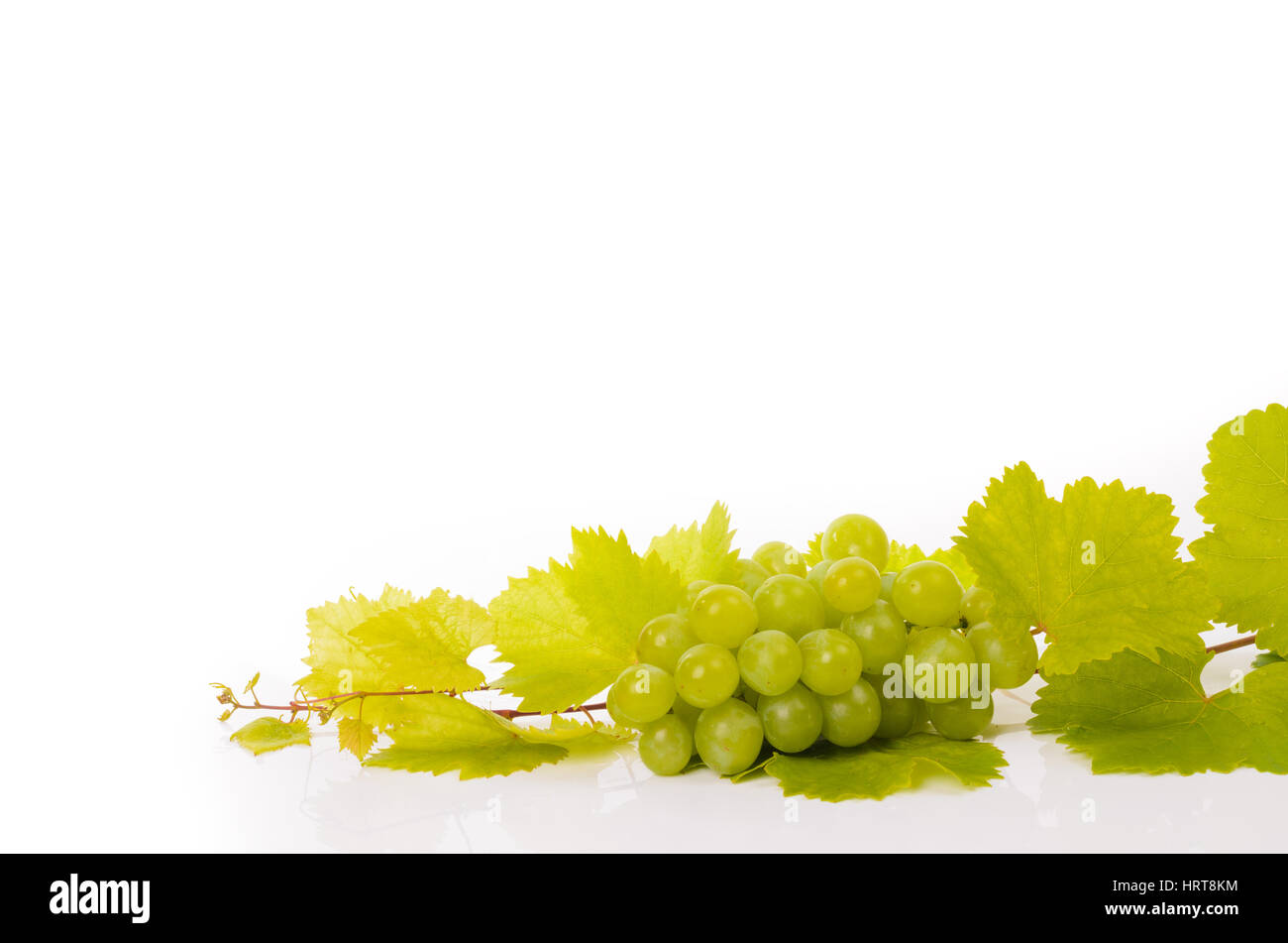 Fresh green grapes with leaves on white background Stock Photo - Alamy