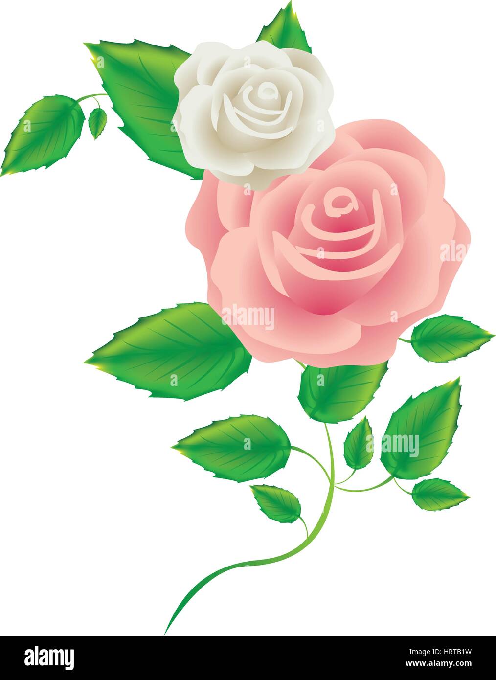 realistic silhouette with pink rose Stock Vector Image & Art - Alamy