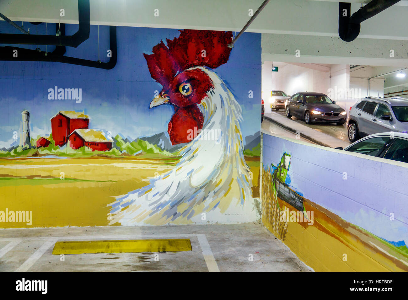 Florida South,Miami,Downtown,Whole Foods Market,organic grocer,parking garage,ramp,cars entering,mural,rooster,visitors travel traveling tour tourist Stock Photo