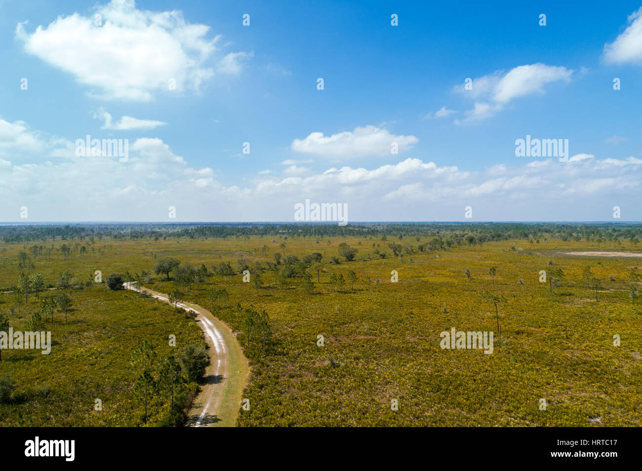 Lake Wales Florida,SUMICA,Central Florida hiking trail,prairie,aerial overhead from above view,FL170226003 Stock Photo