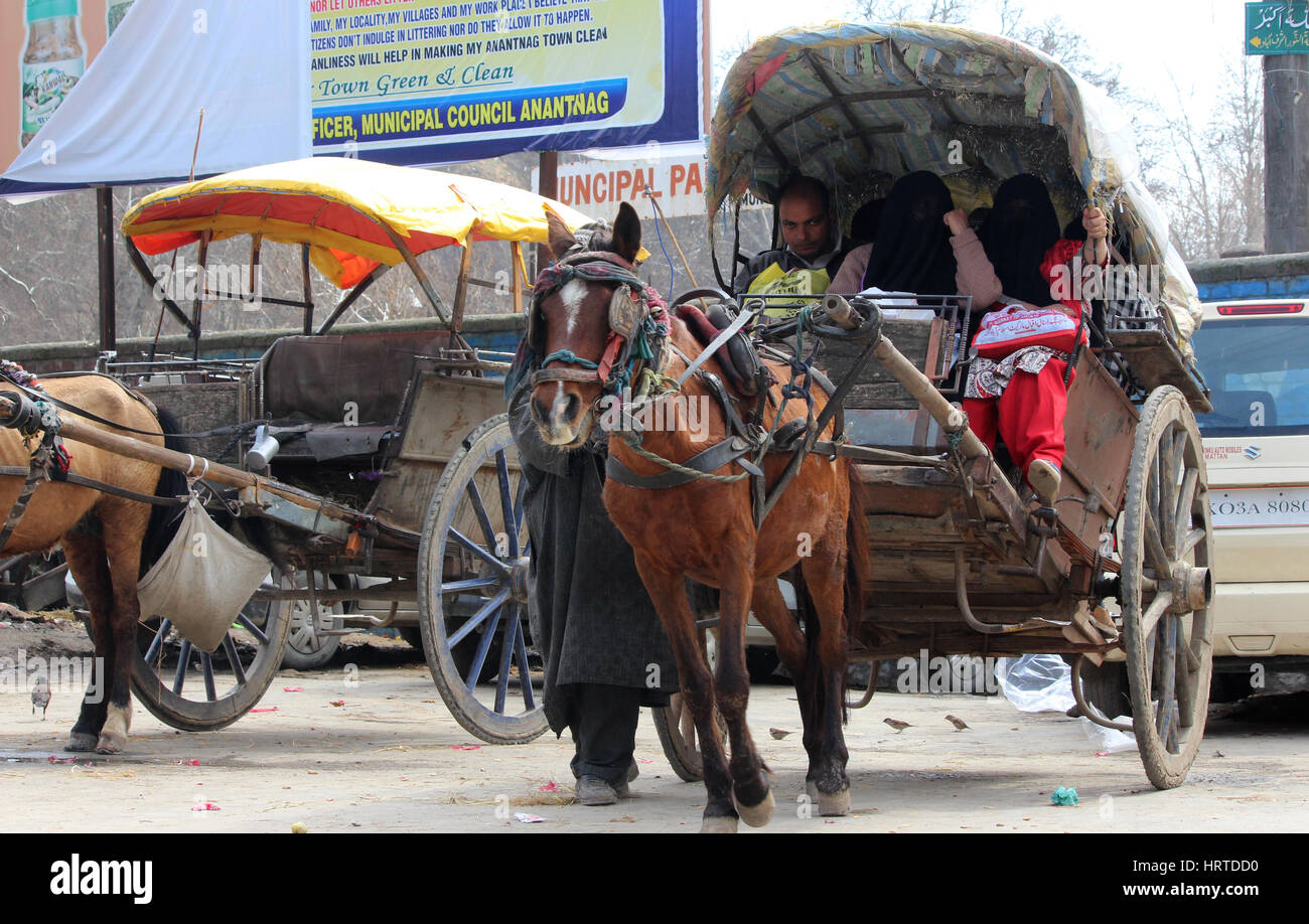 A Tonga or tanga is a light carriage or curricle drawn by horse used for transportation in Indian occupied Kashmir. They have a canopy over the carriage with a single pair of large wheels.The passangers reach the seats from the rear while the driver sits in front of the carriage.Some space is availabe for baggage. This is often used to carry hay for the horses.Tanga were popular before the advent of automobiles and are still in use in some parts of Indian occupied Kashmir.Hence Tonga became culture of kashmir.The culture of the Tanga is disappearing due to the speed of modern transportation an Stock Photo