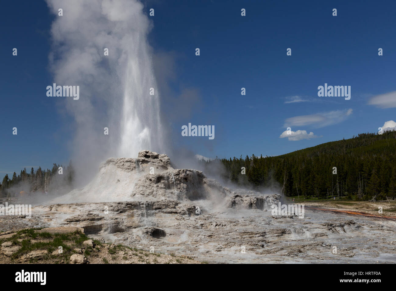 Castle Geyser in Upper Geyser basin erupting, Yellowstone National Park ...