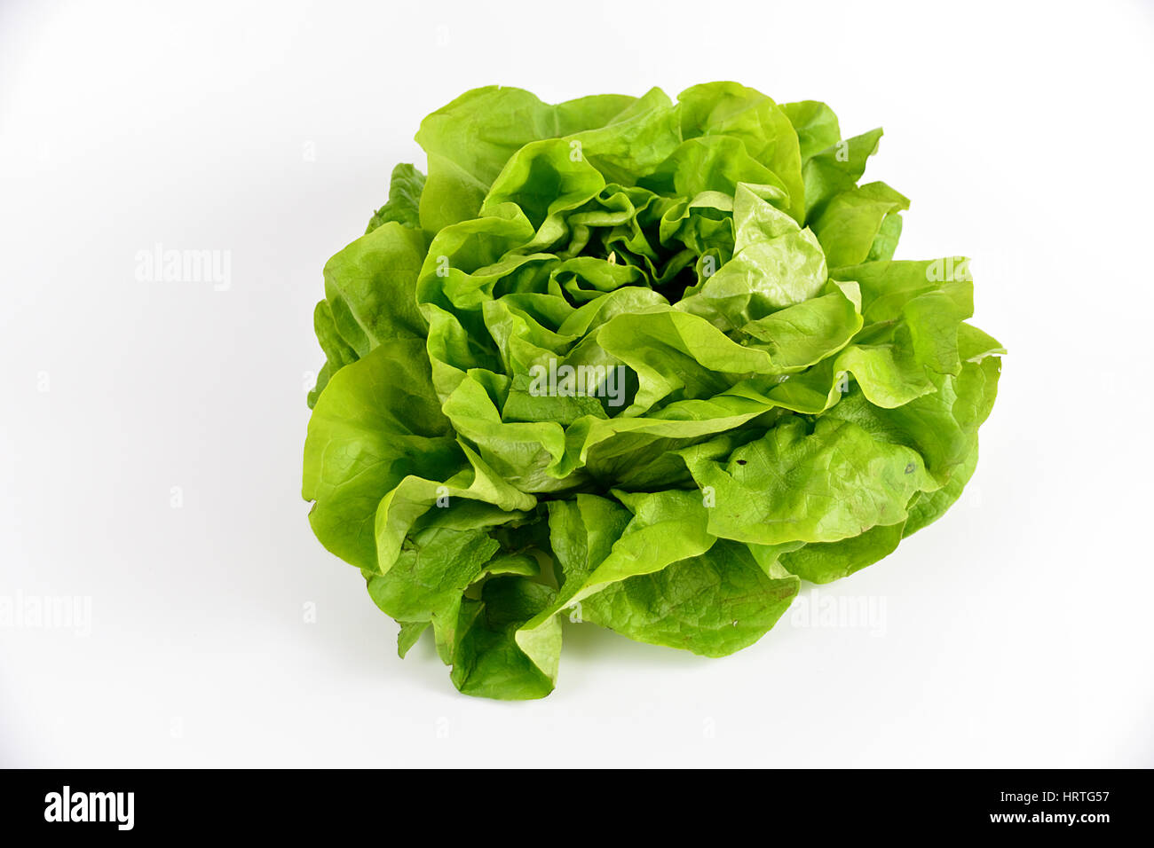 salade verte Stock Photo