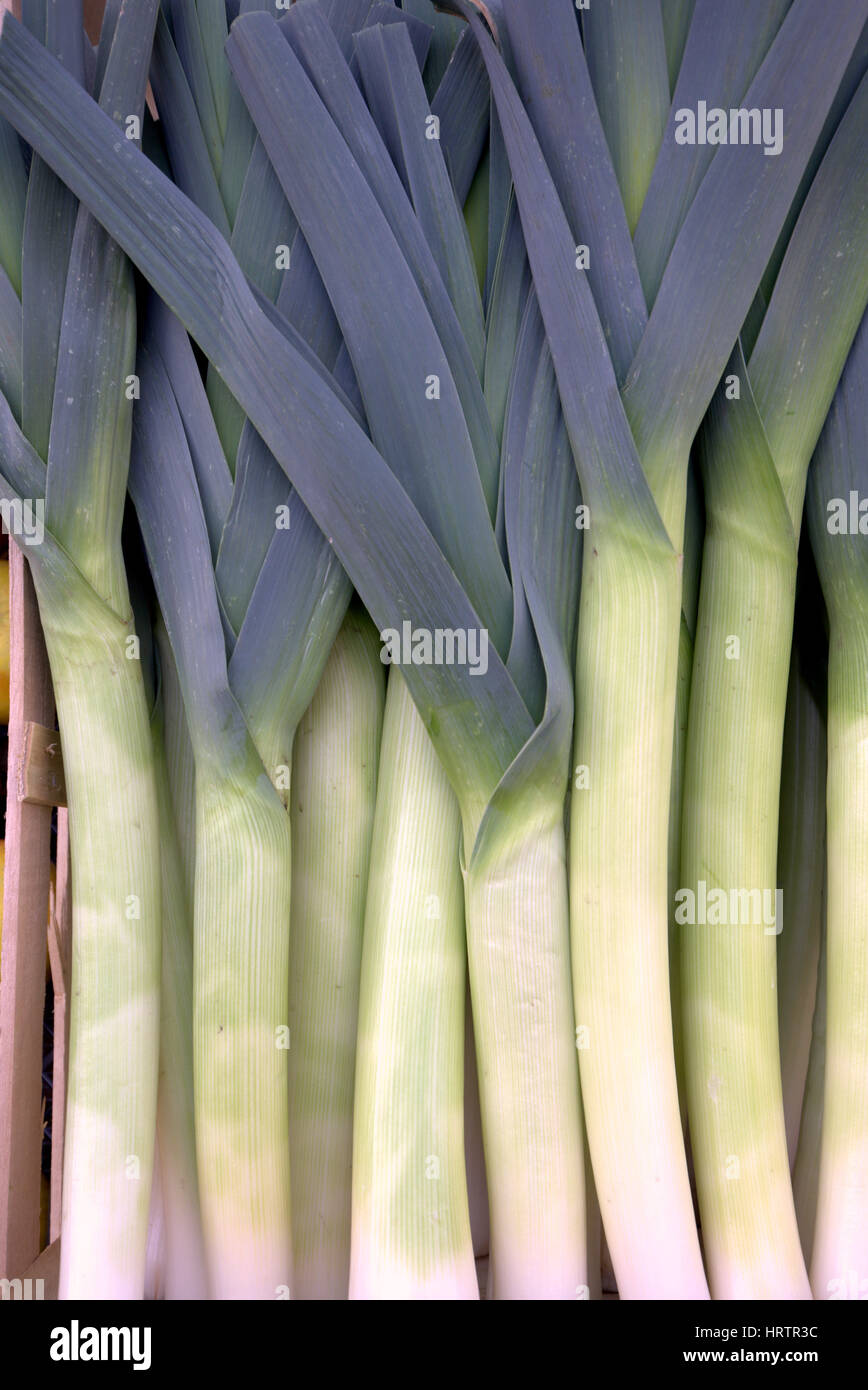 fruit and vegetable stall leeks Stock Photo Alamy