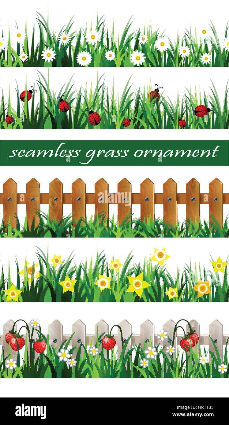 Green Grass seamless set Stock Vector Image & Art - Alamy