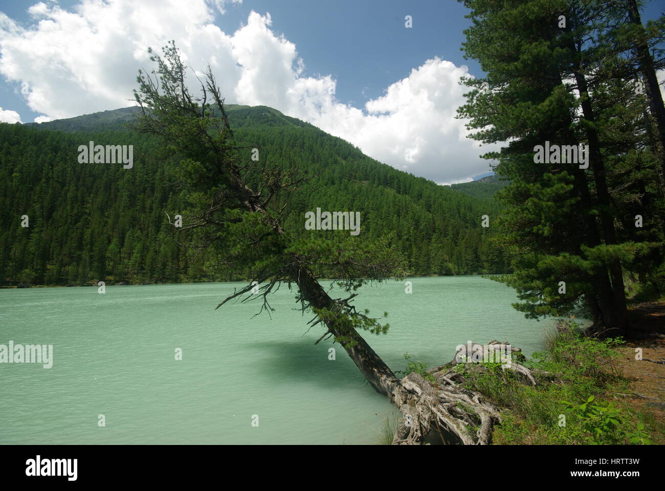 Mountain Lakes Near Me Exploring Scenic Natural Wonders
