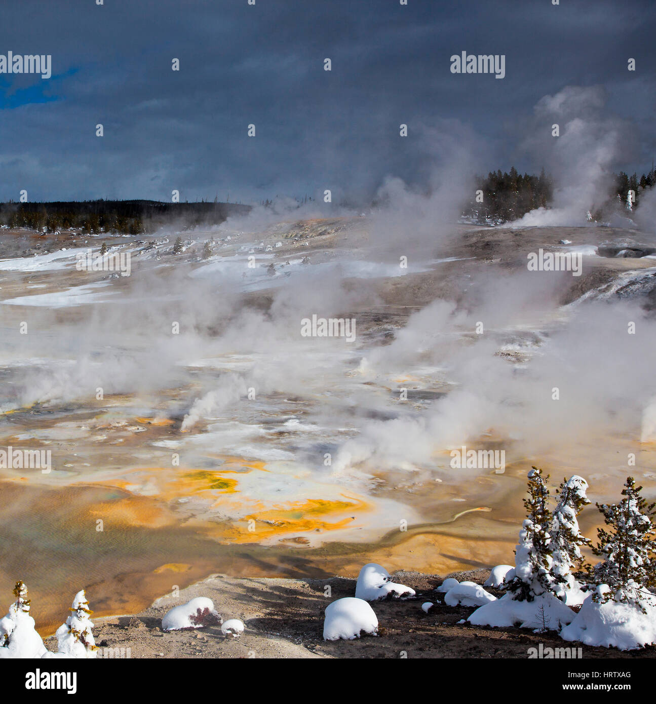 Porcelain Basin in Winter, Yellowstone National Park, Wyoming, USA Stock Photo