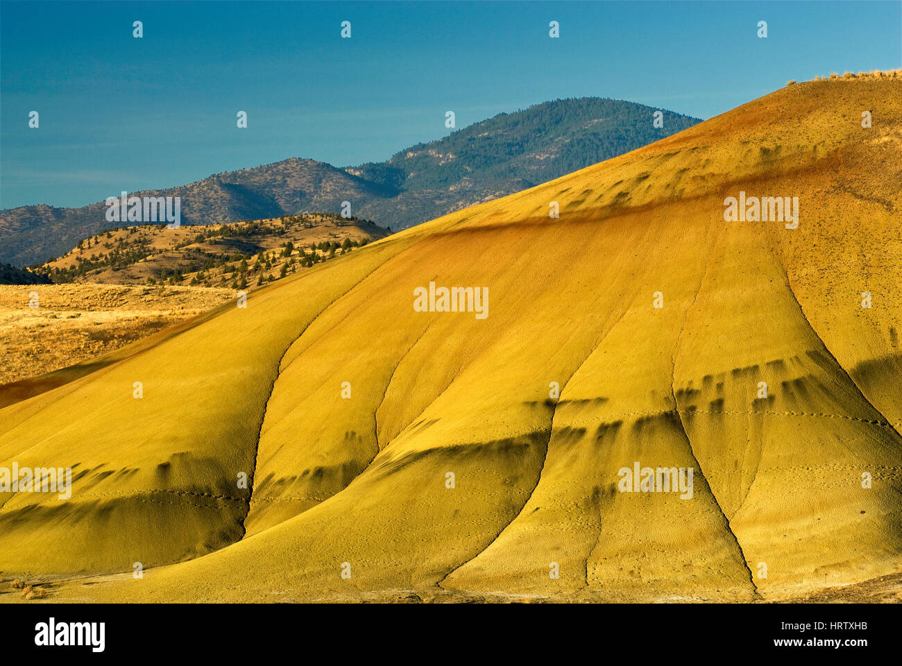 Painted Hills at John Day Fossil Beds National Monument, Painted Hills Unit, Oregon, USA Stock Photo