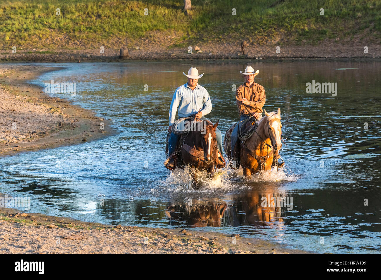two cowboys on horseback crossing creek on ranch Stock Photo