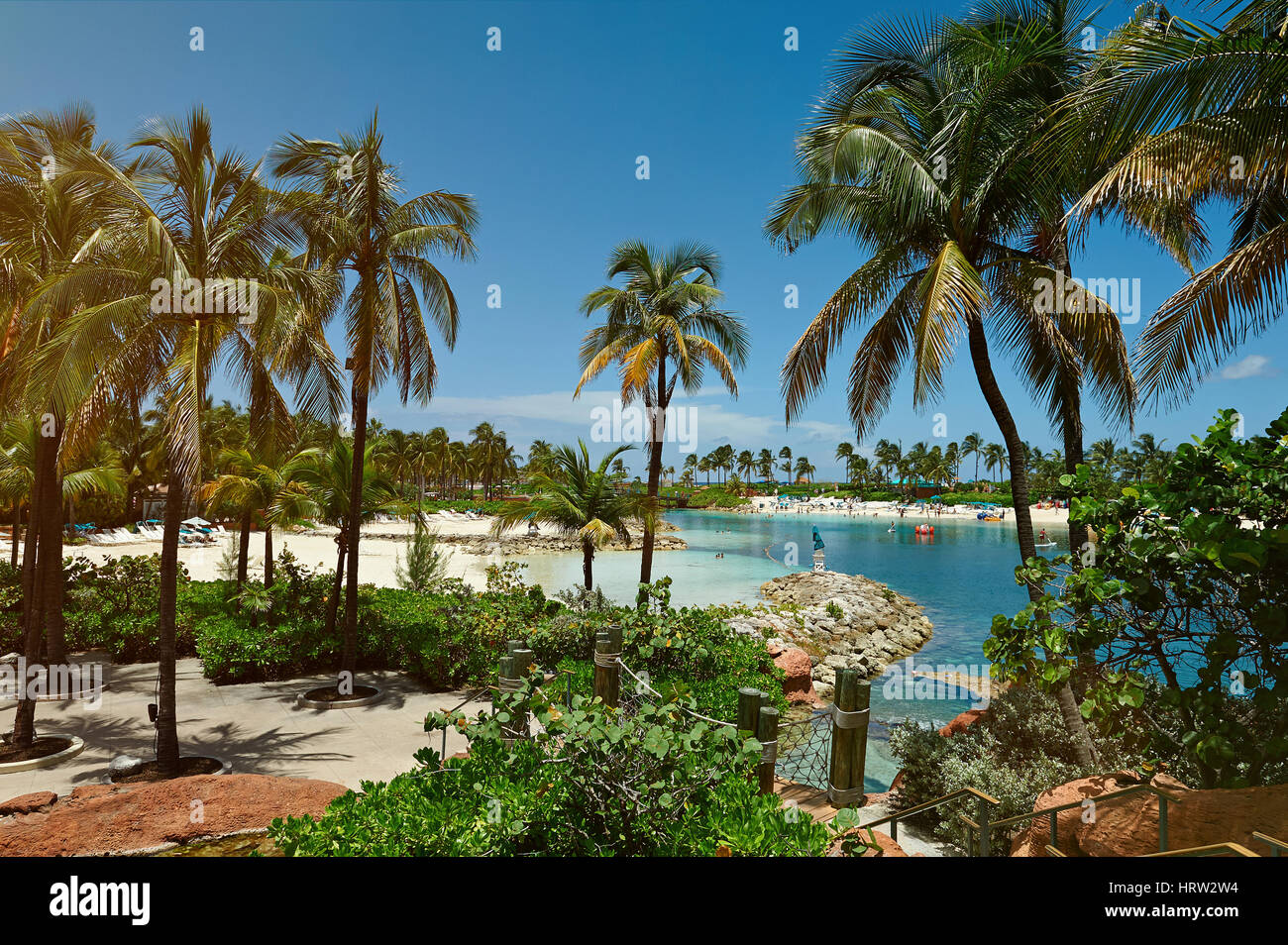 Tropical resort bay with palms in clear blue sky day. Vacation on ...