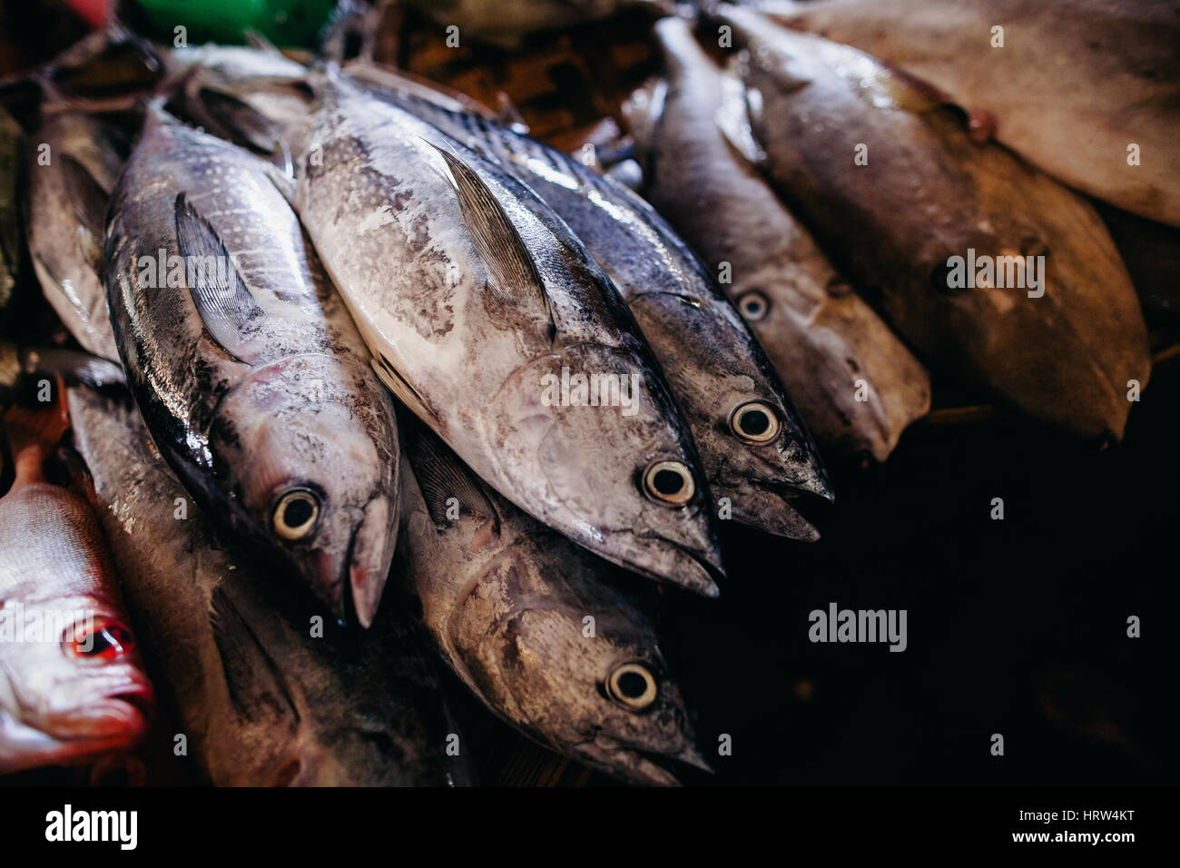 Raw fish assorted sliced and cut at street local market in Asia ...