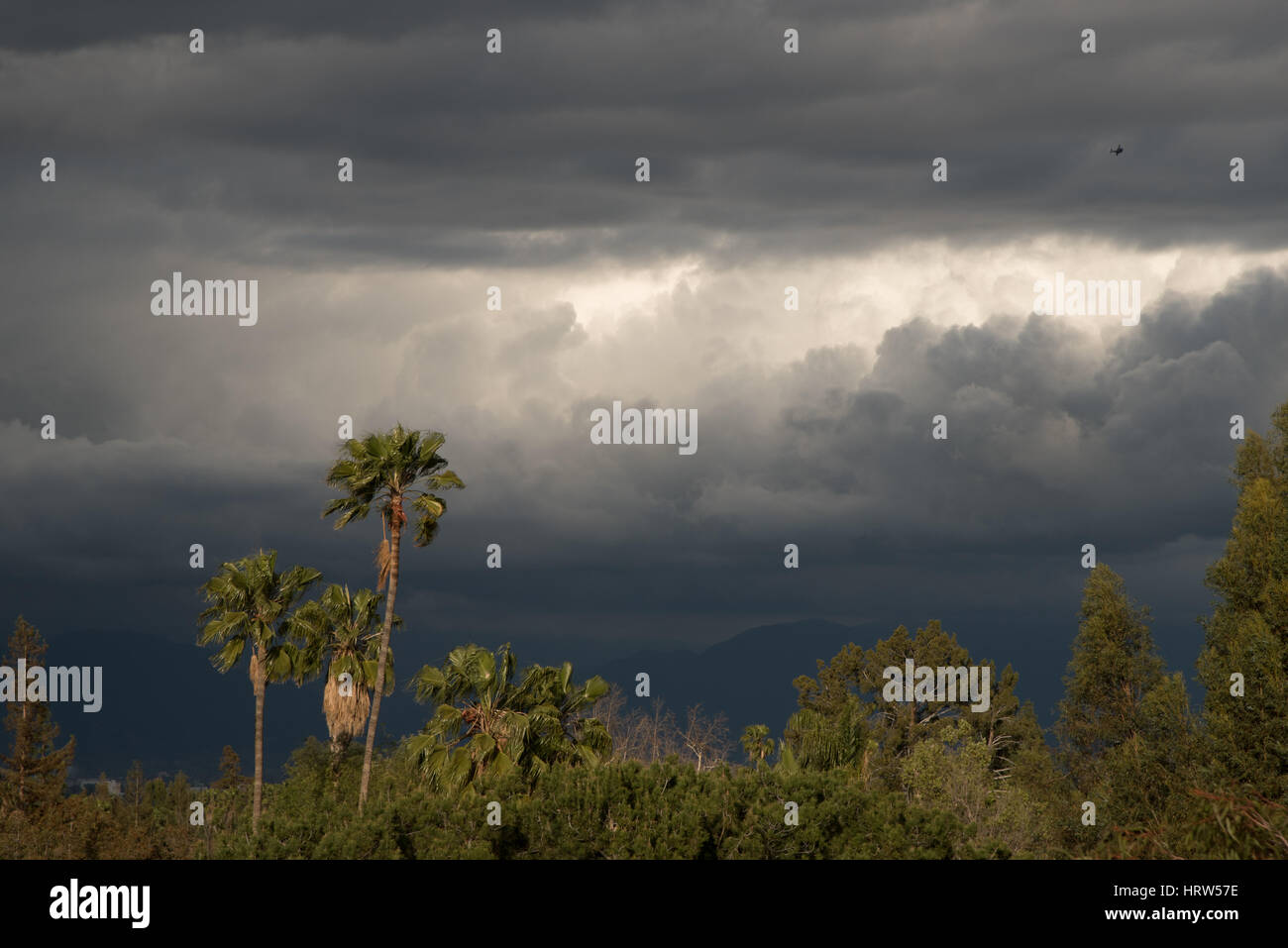 Rain in Los Angeles Stock Photo Alamy