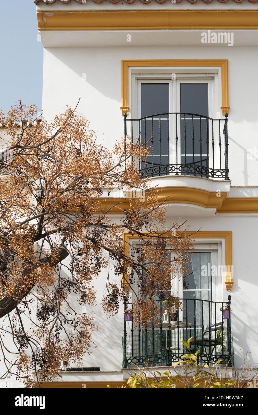 White painted house, window with balcony and tree Benalmadena Pueblo, Spain, Europe Stock Photo