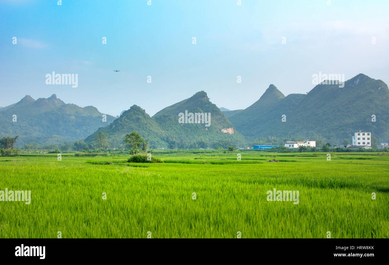 Rice field and karst scenery in Guangxi province, China Stock Photo