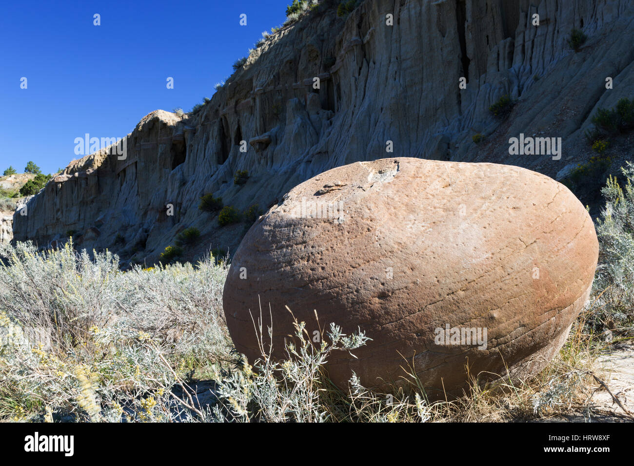 Cannon Ball Concretions, Theodore Roosevelt National Park, ND, USA Stock Photo
