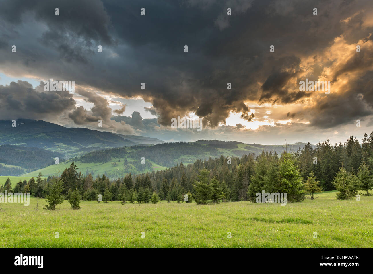 Storm clouds over the mountains and green meadows during sunset Stock ...