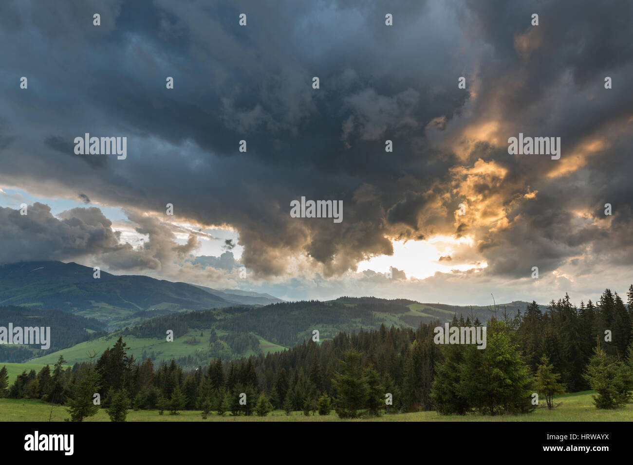Storm clouds over the mountains and green meadows during sunset Stock ...