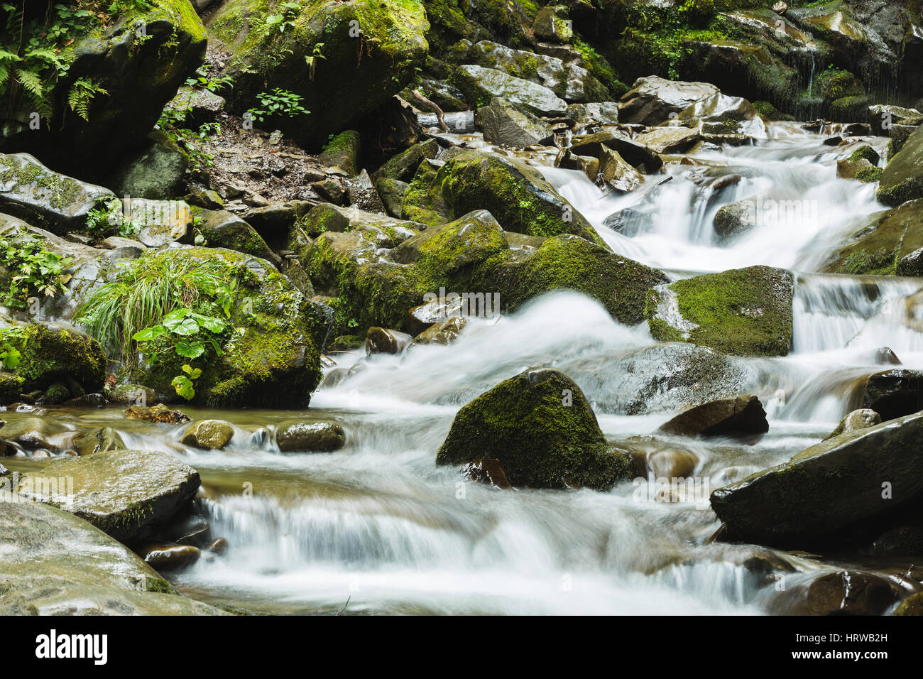 Brook among stones in hi-res stock photography and images - Alamy