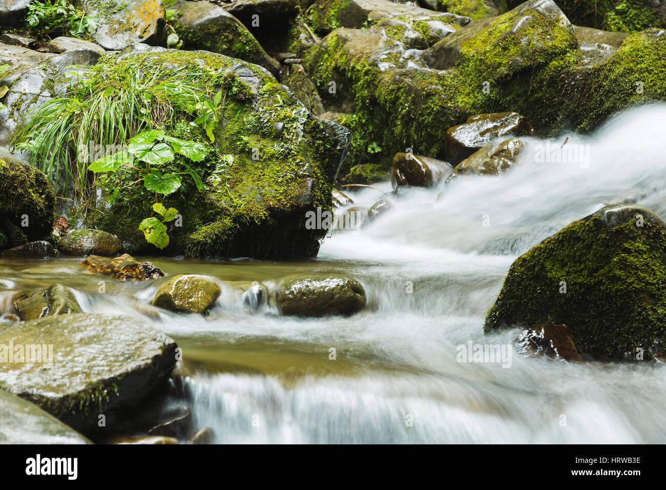 Brook among stones in hi-res stock photography and images - Alamy