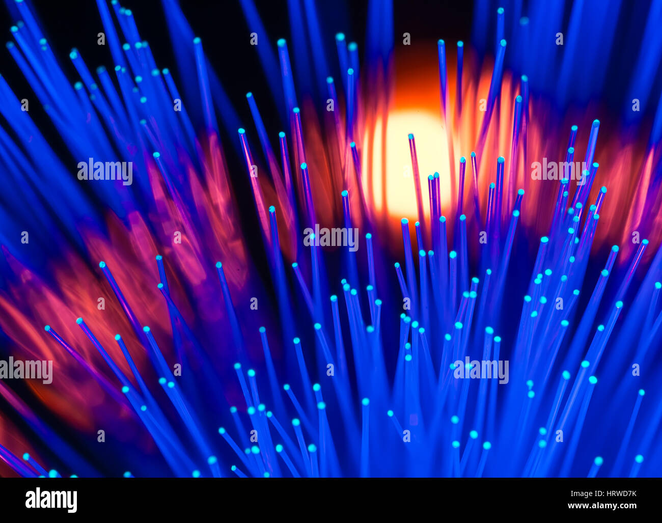 fiber optical network cable Stock Photo