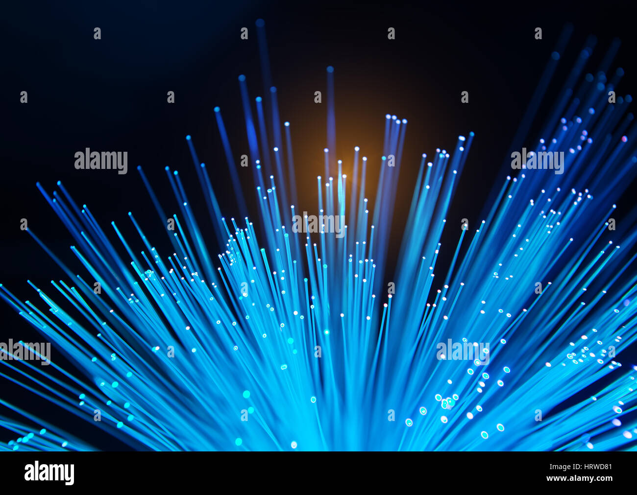 fiber optical network cable Stock Photo