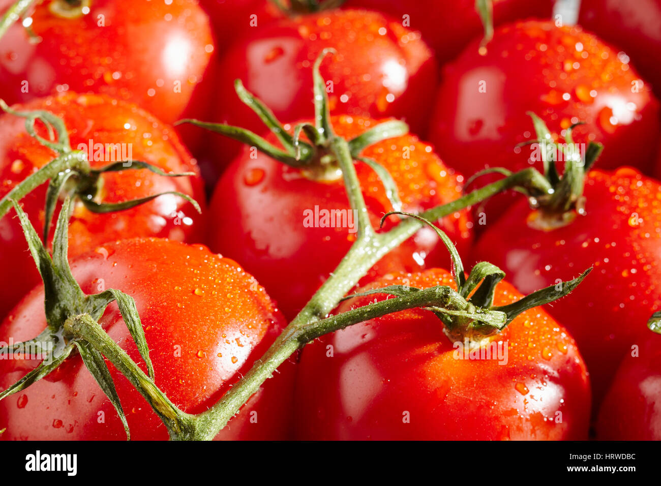 fresh, ripe, whole Campari tomatoes on their stems Stock Photo