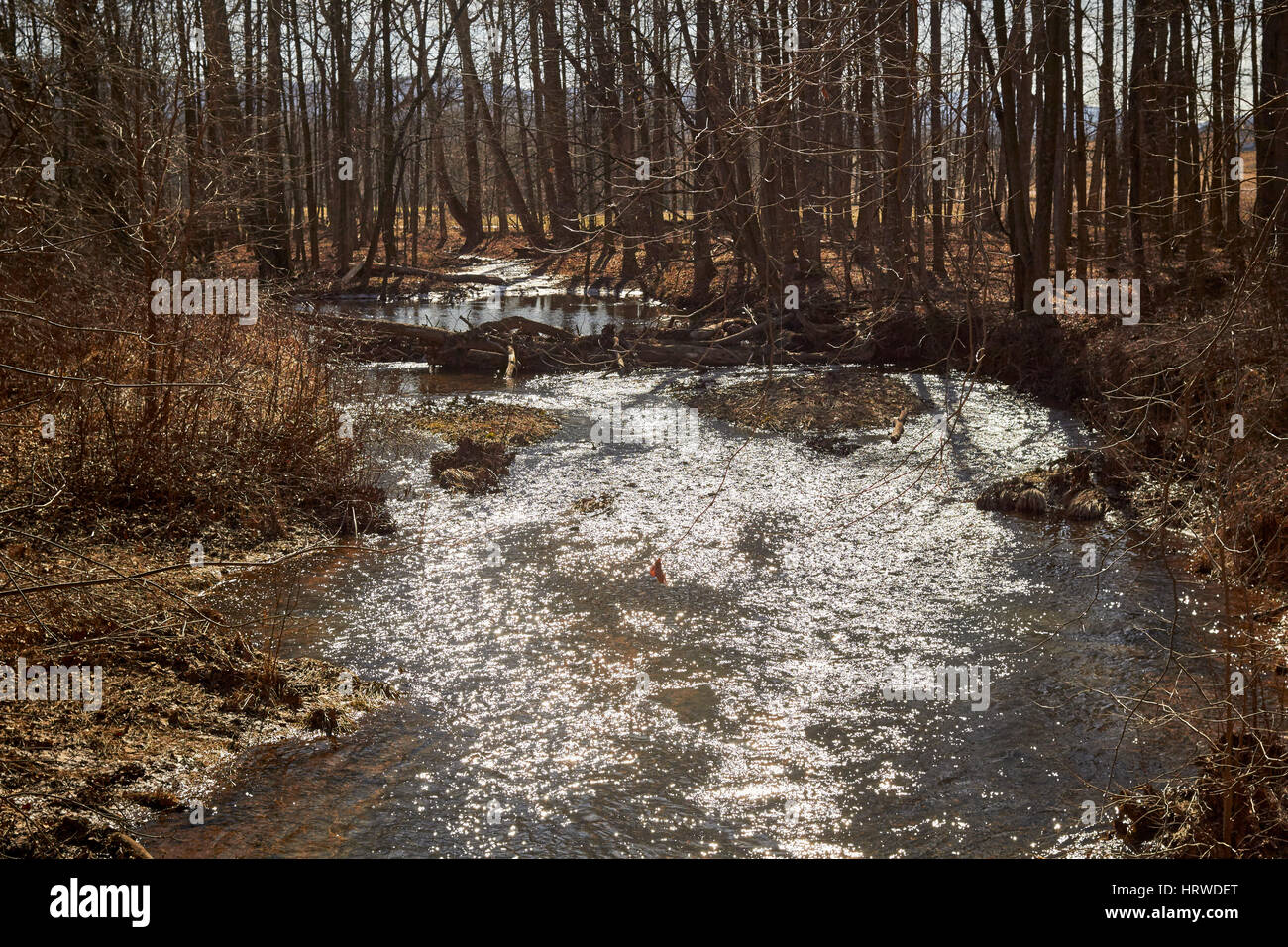 Sherman Creek at Blain, Pennsylvania, USA during winter "stick season
