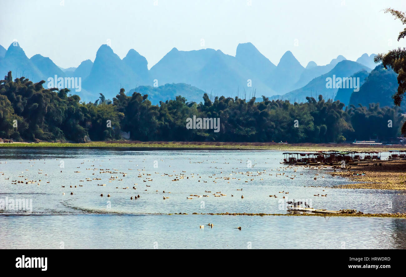 Wildlife Scene in Central China Many Birds on River and Karst Mountains on Background Stock Photo