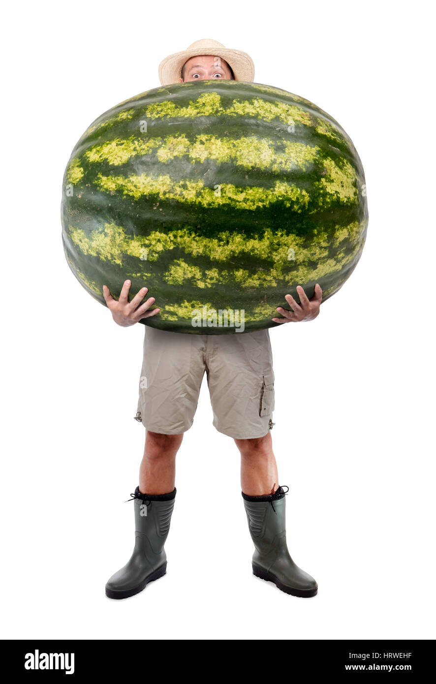 Funny gardener carrying a large watermelon. A farmer hold big water