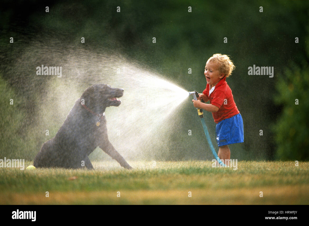 Boy laughing playing with dog hires stock photography and images Alamy
