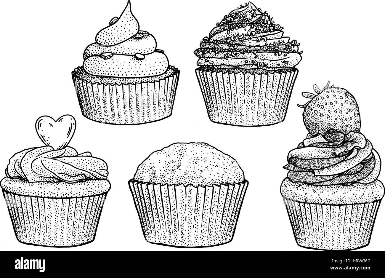 cupcake illustration drawing engraving ink line art vector HRWG6C