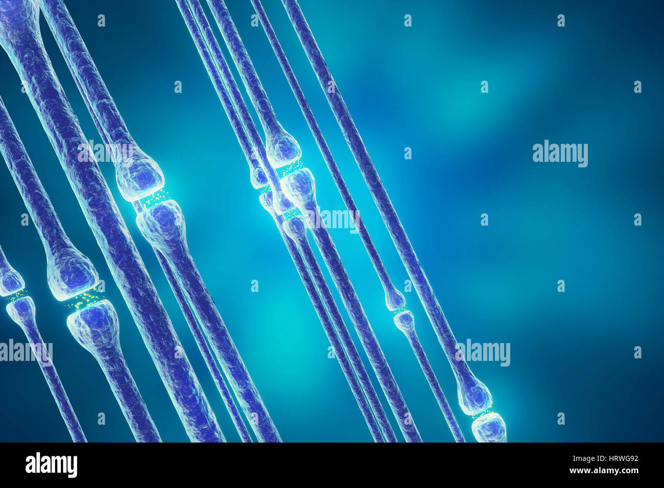 Synaptic transmission, human nervous system, 3d rendering Stock Photo