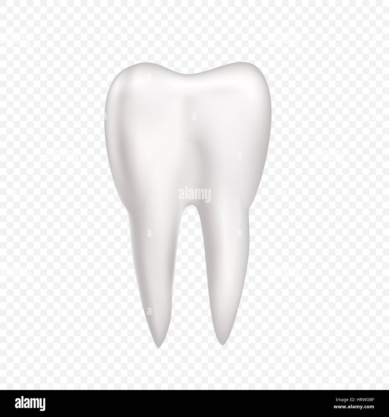 Tooth on transparent background Stock Vector