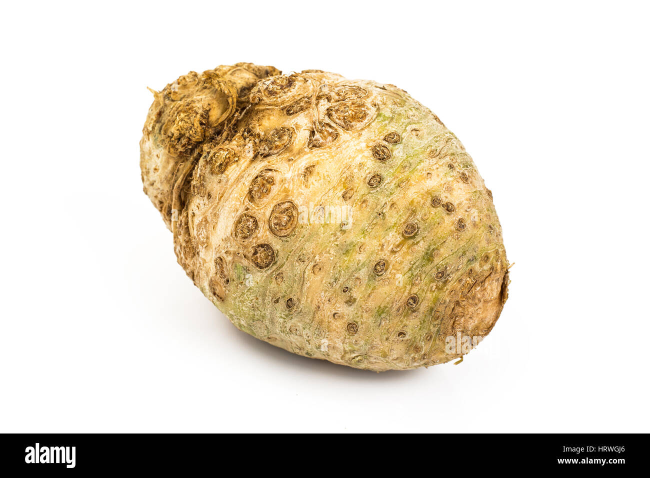 root celery, isolated on white background. Studio Photo Stock Photo - Alamy