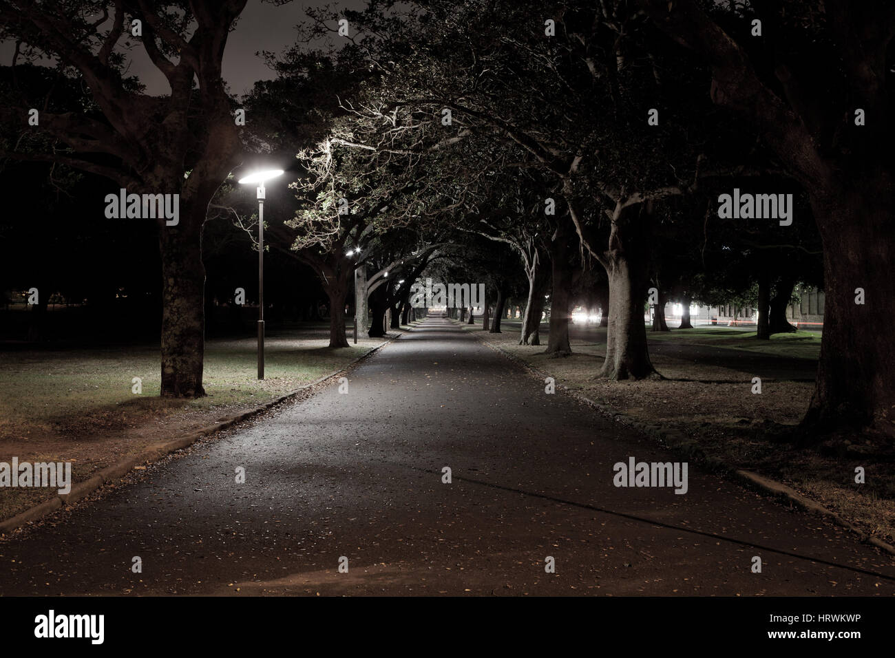 Centennial Park after dark Stock Photo - Alamy