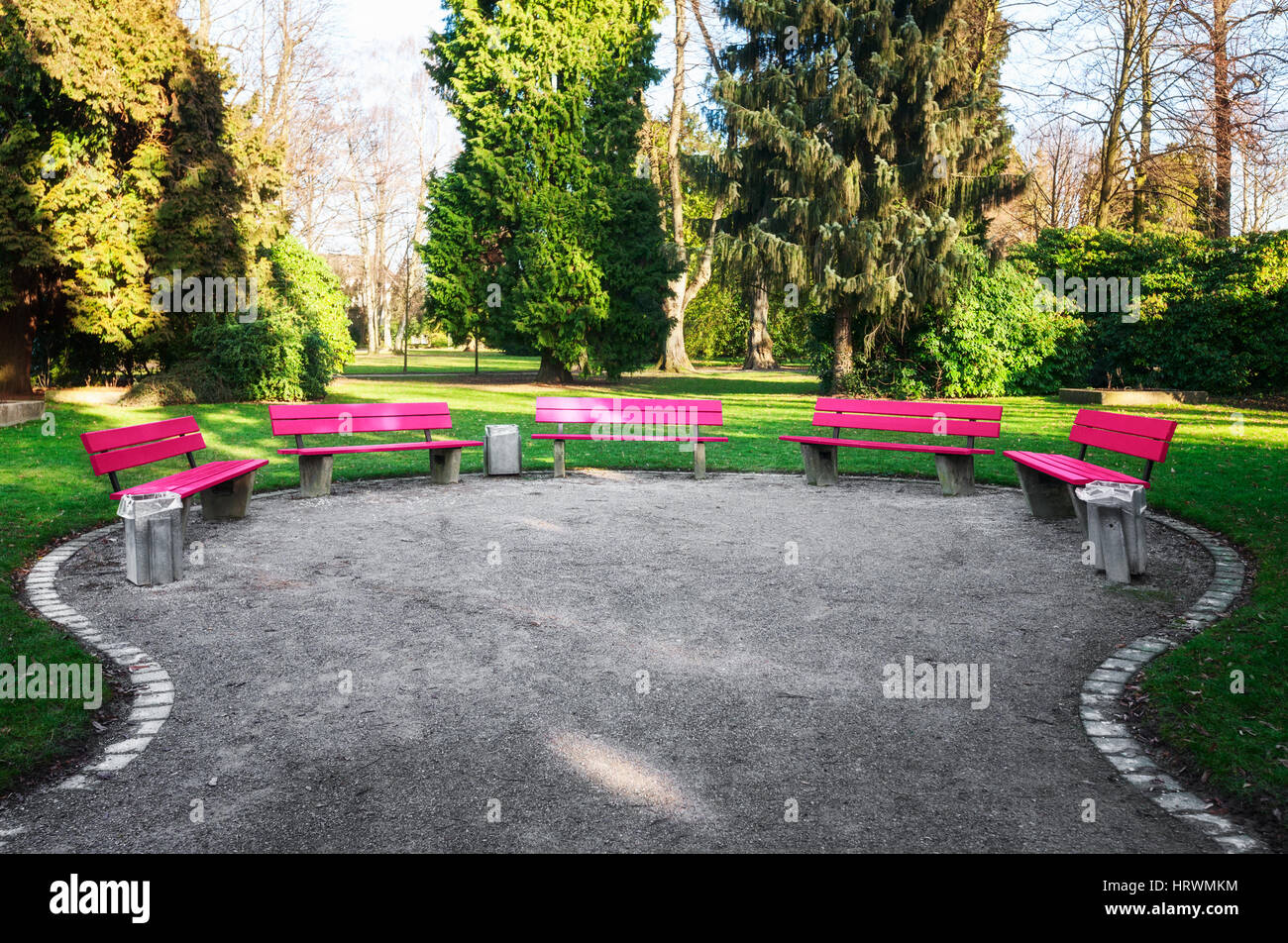 Pink benches in city park. February landscape with green lawn, spruce