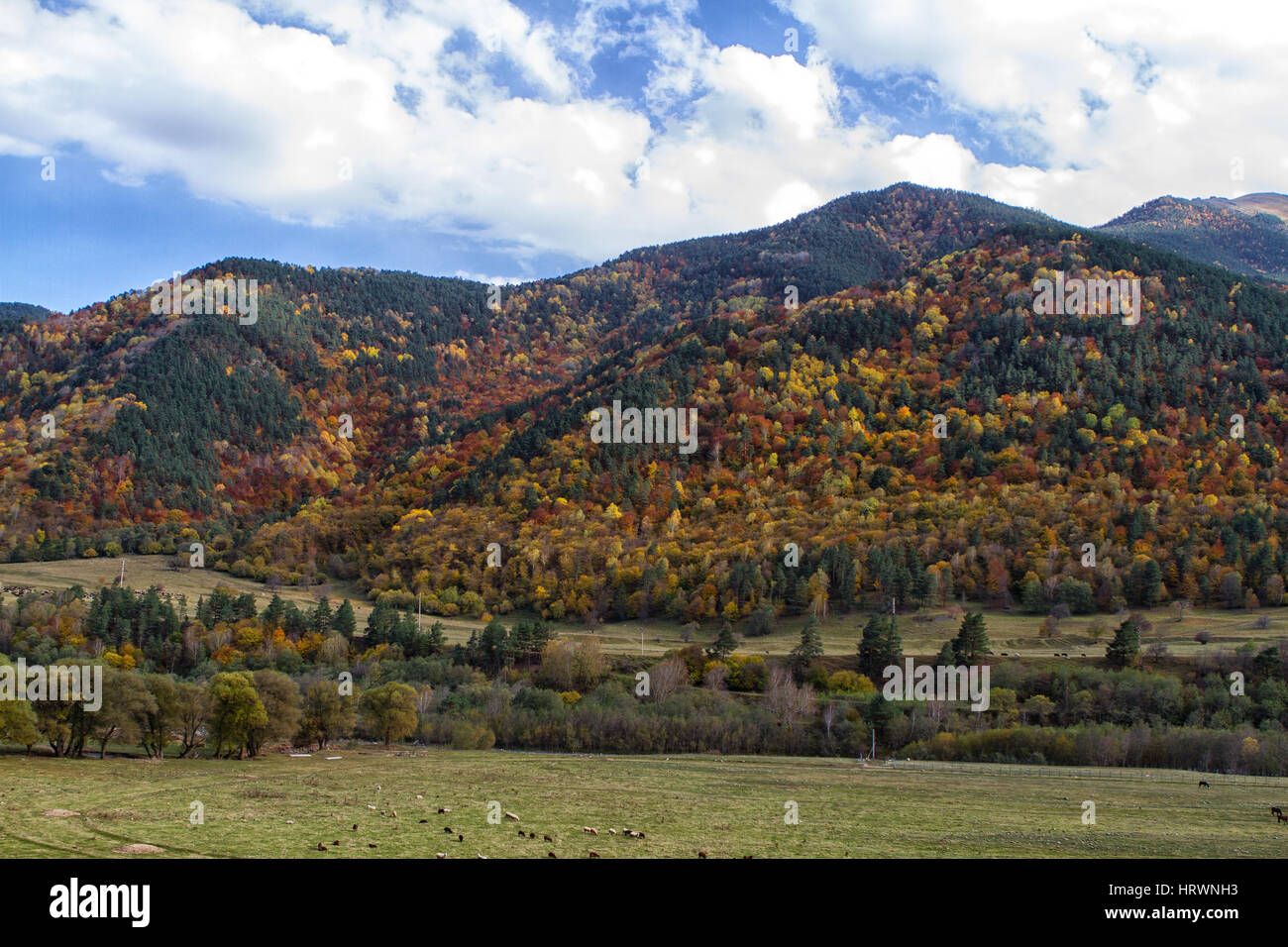 Autumn landscape in the mountains of Lago-Naki, North Caucasus, Russia Stock Photo
