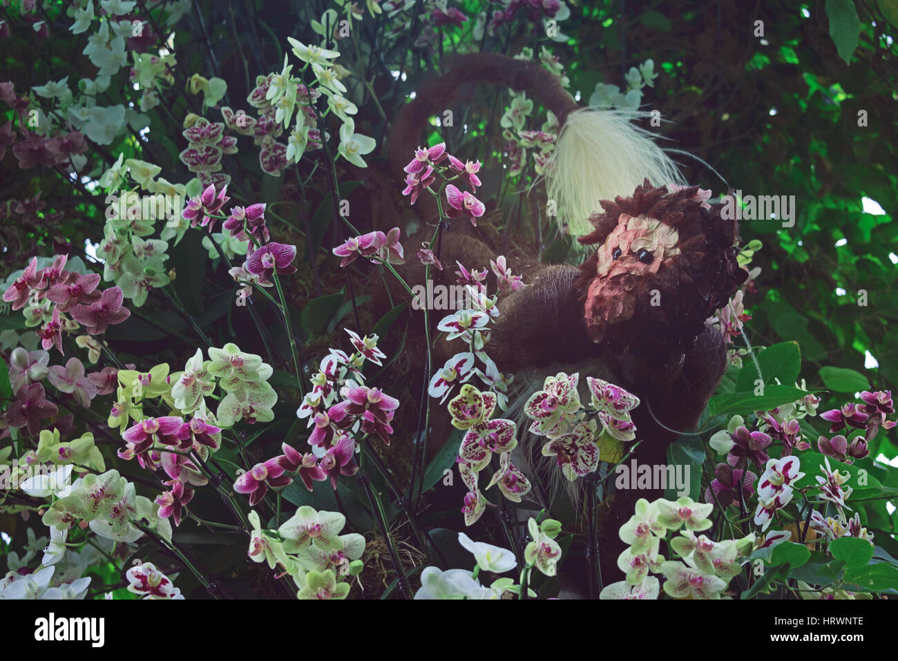 Monkey Floral art at Festival of Orchids in Kew Gardens, London Stock Photo