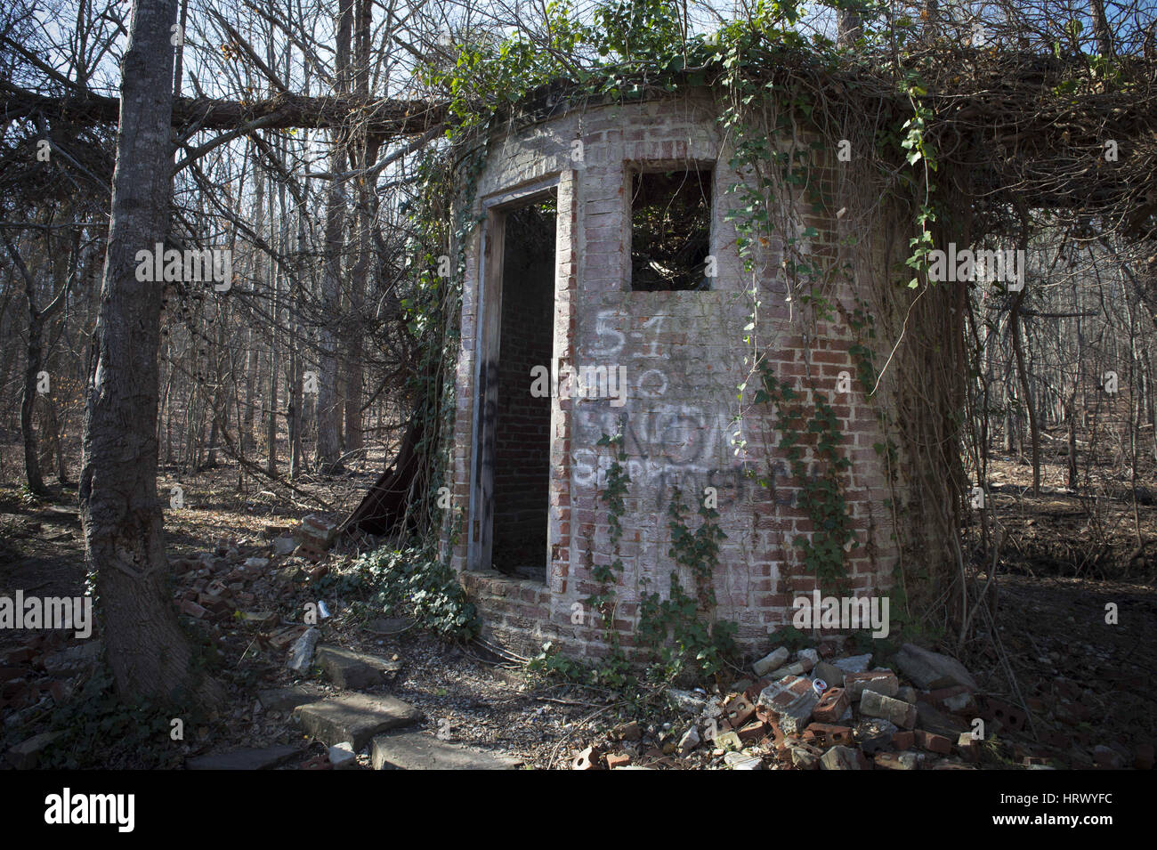 March 4, 2017 - Summerville, GA - Crumbled remains of 'Corpsewood Stock