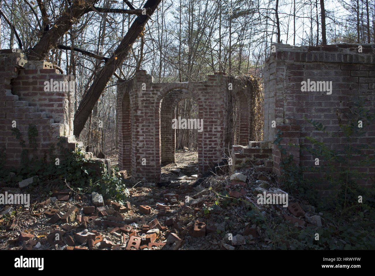 Corpsewood manor