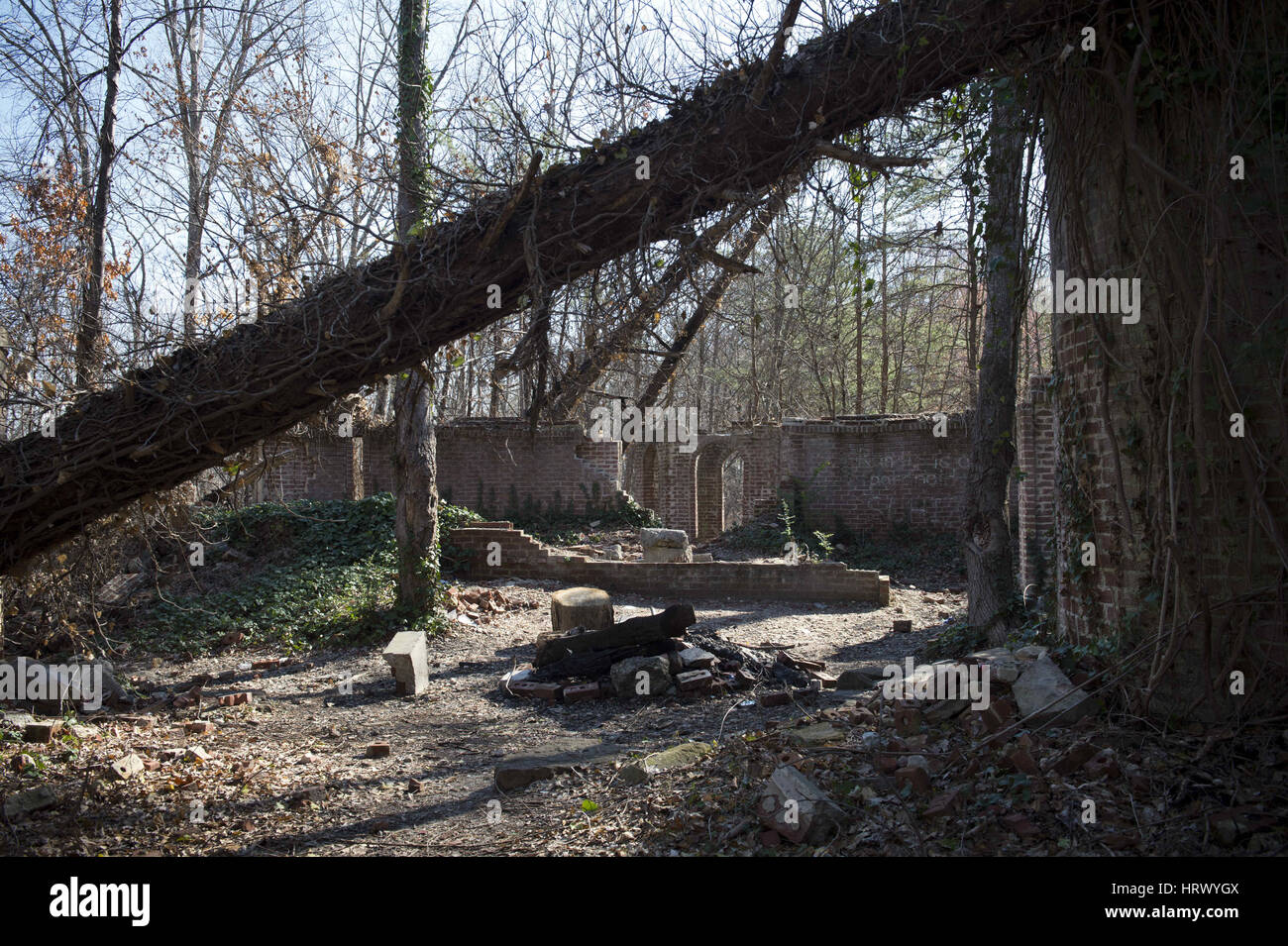 March 4, 2017 - Summerville, GA - Crumbled remains of 'Corpsewood Stock